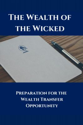 The Wealth of the Wicked  Article