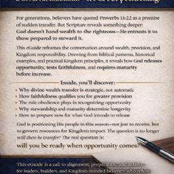 The Wealth of the Wicked  Article